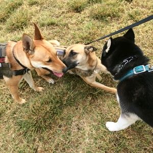 Meet your Posher, Johnny